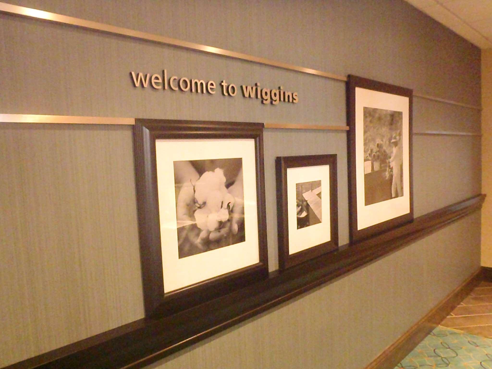 Hampton Inn & Suites Wiggins Exterior foto